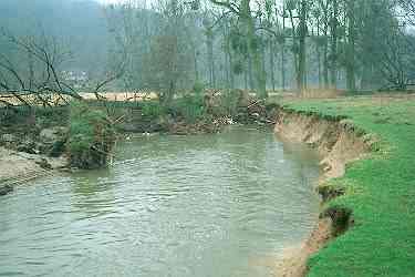 Afkalvende Geuloevers in natuurgebied Ingendael