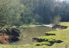 Afkalvende Geuloevers in natuurgebied Ingendael