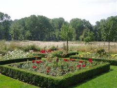 Rozentuin bij Ch�teau Sint Gerlach (Fons Heijnens)